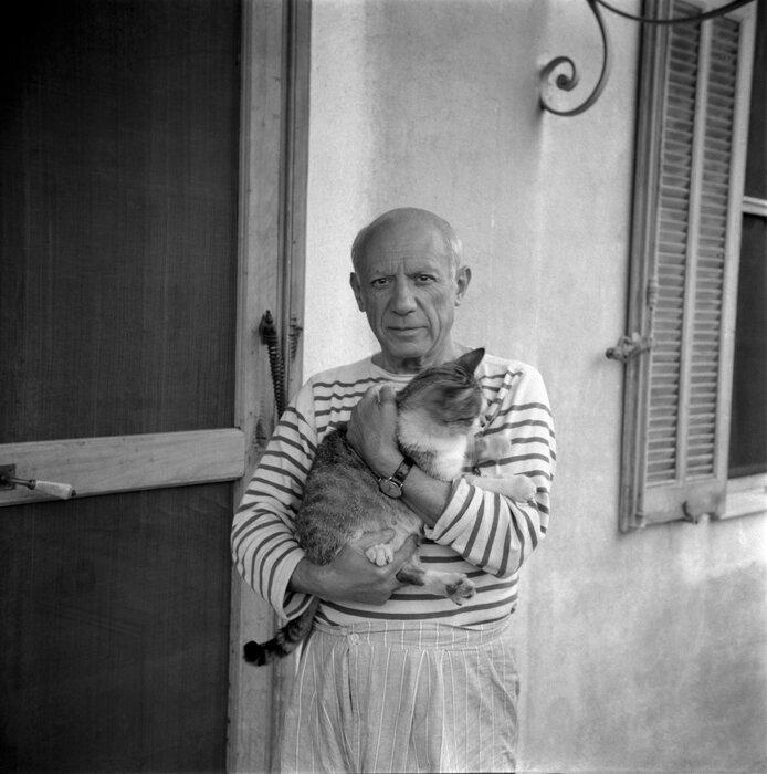 Пабло Пикассо и его кот. Фото из поисковой сети