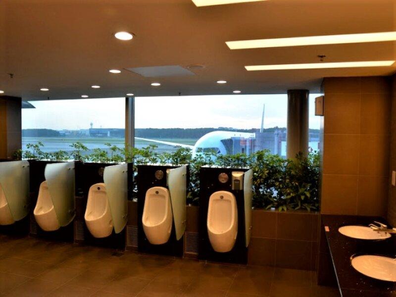 Туалет в аэропорту Чанги в Сингапуре. Фото с сайта https://ru-travel.livejournal.com/