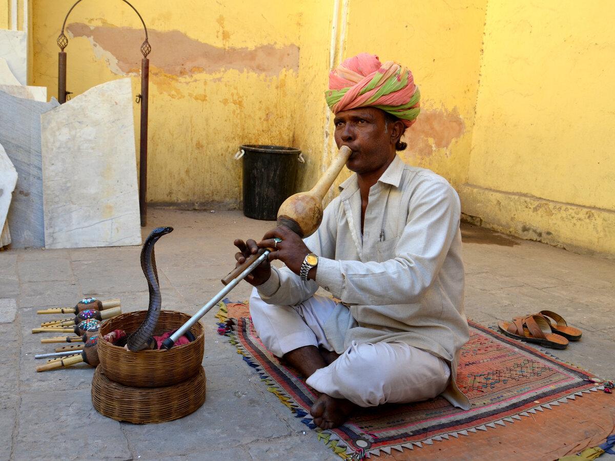 Заклинатель змей в Индии. Фото автора.