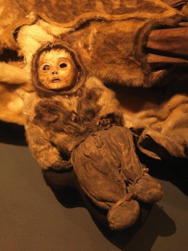 Мумия Национального музея Гренландии. Источник Яндекс картинки.