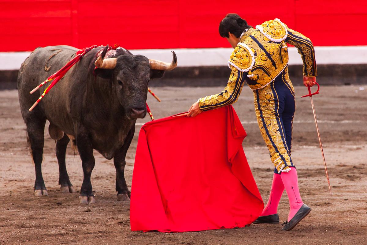 Испанская коррида: бой матадора и быка. Считается, что во время шоу бык агрессивно реагирует на красную мулету. Фото из Интернета 
