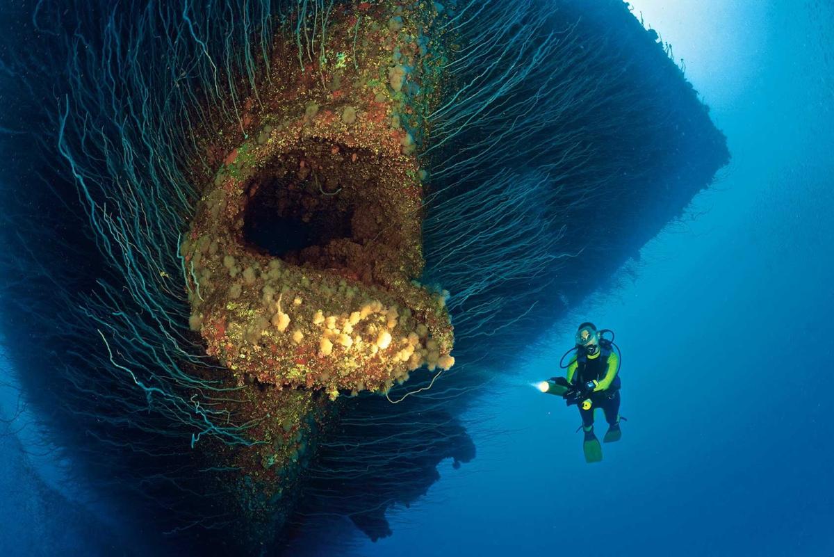 Изучение океана является одной из самых интересных областей науки, которые человечество сейчас развивает.