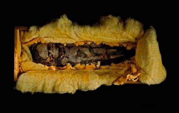 В гробнице Тутанхамона погребена недоношенная (семимесячная) девочка. Рядом найден еще один мумифицированный недоношенный младенец. Фото: Кеннет Гарретт 