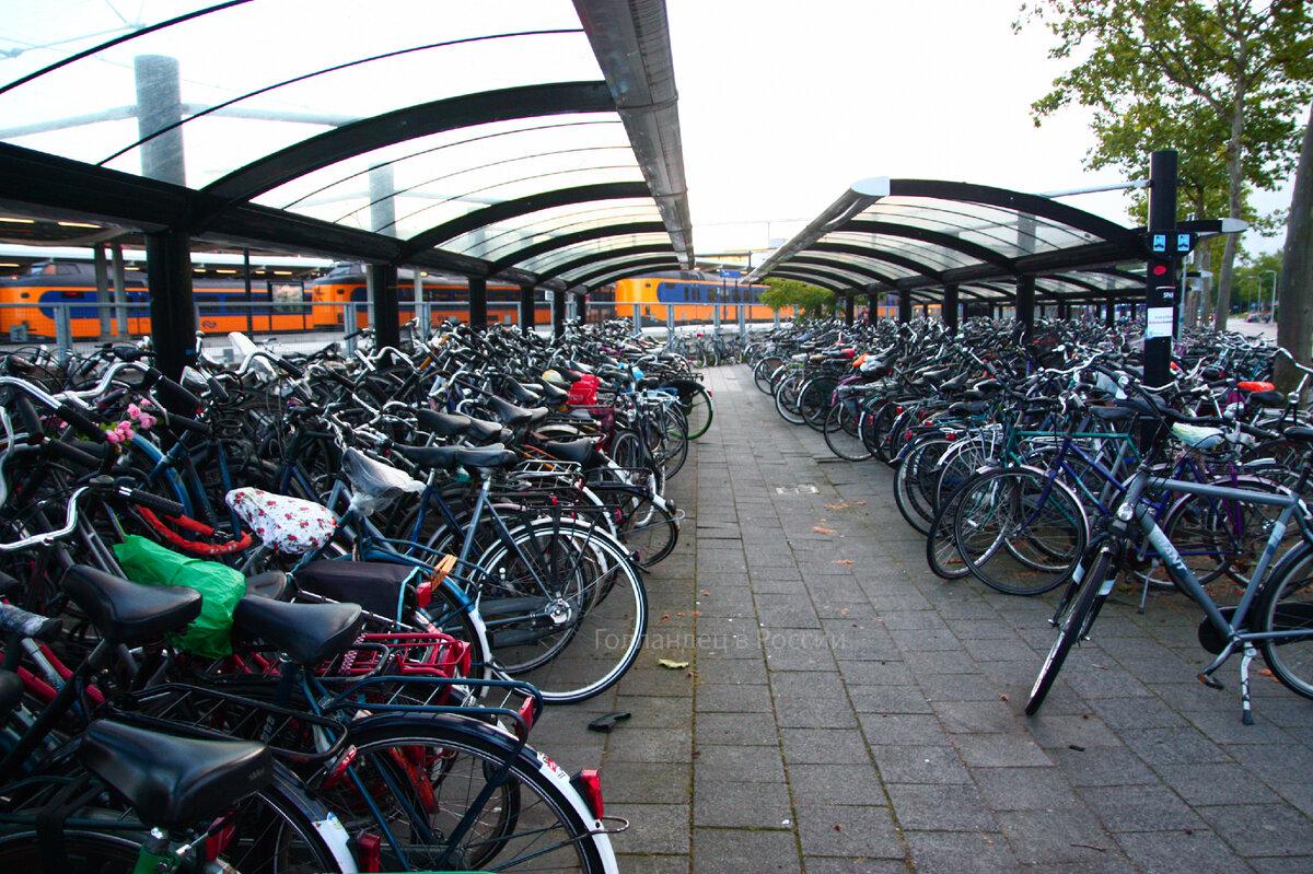 Велопарковка в небольшом голландском городке. Таких рядов там 11. С другой стороны ЖД станции ещё примерно столько же :) Фото: из личного архива