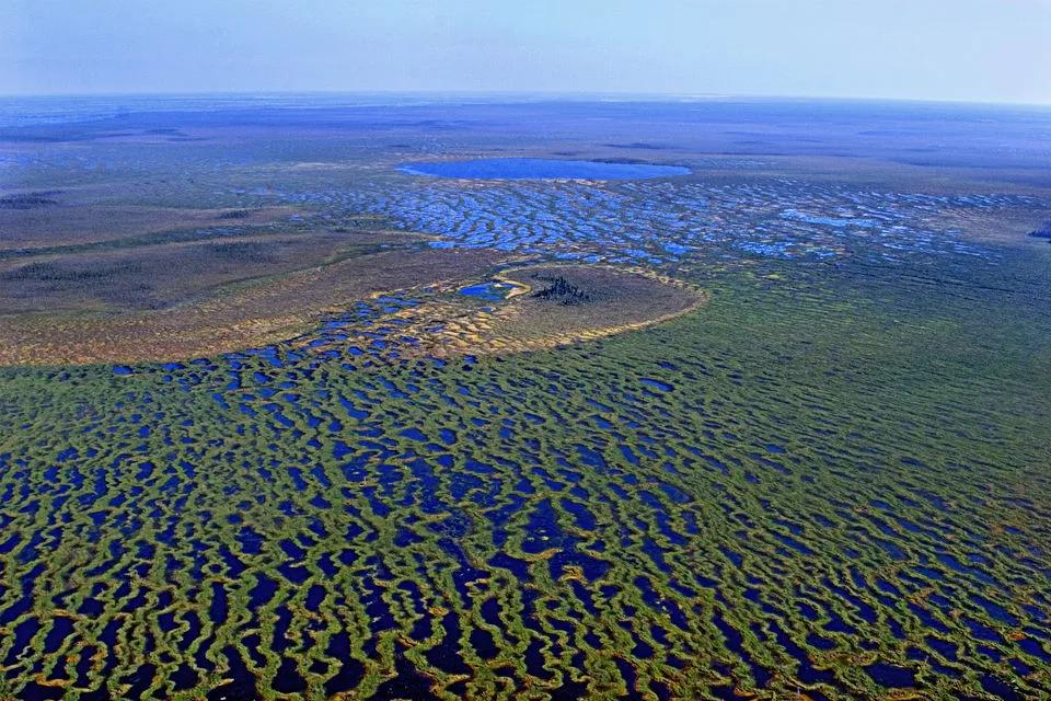 Большое Васюганское болото – это гигантская гидрологическая система, расположенная в Западной Сибири.-4