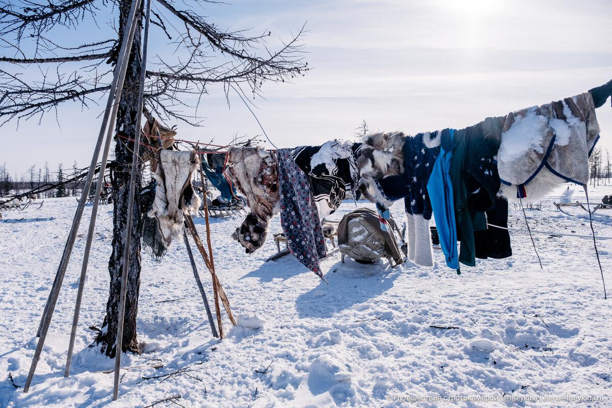 Пожила в чуме и всё (почти) проверила не себе. Поэтому рассказываю только то, что видела сама. Когда я пишу о жизни оленеводов, бытовые вопросы неизменно вызывают много обсуждений.-9