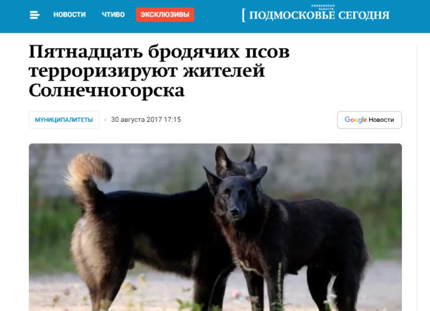 https://mosregtoday.ru/news/muni/pyatnadcat-brodyachih-psov-terroriziruyut-zhitelej-solnechnogorska/