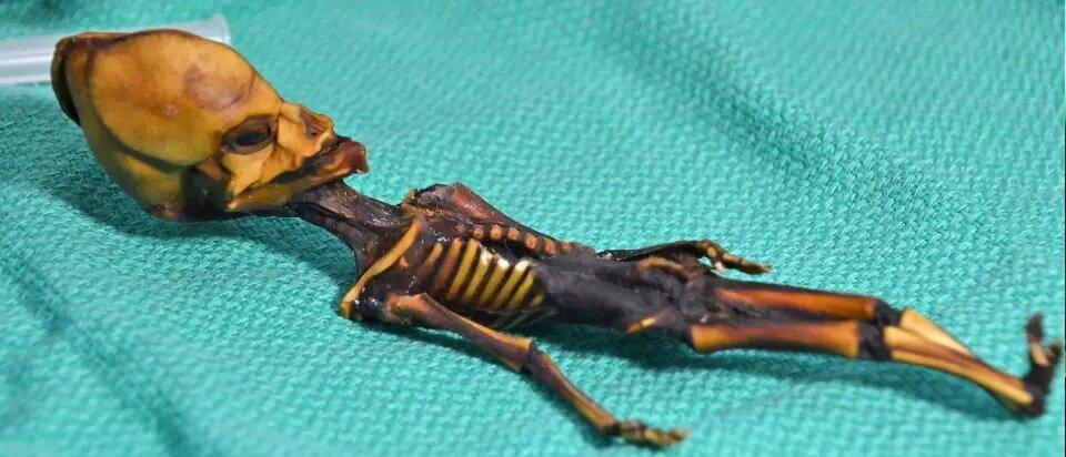  Странные открытия всегда окружены тайной и мистикой. Маленькая мумия с заостренным коническим черепом, косыми глазницами и десятью ребрами долгие годы озадачивала исследователей.