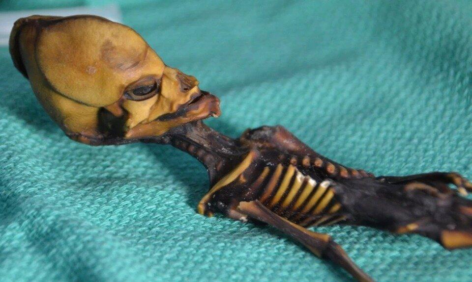  Странные открытия всегда окружены тайной и мистикой. Маленькая мумия с заостренным коническим черепом, косыми глазницами и десятью ребрами долгие годы озадачивала исследователей.-3