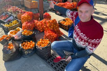 Съездили за мандаринами на границу Россия - Абхазия