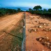 Какой ужас скрывают в Австралии за забором в 6 тысяч километров