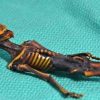Ученые разгадали тайну происхождения 15-сантиметрового «внеземного» скелета.